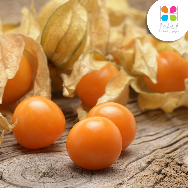Golden Berry Golden Berry