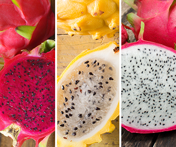 Conheça a fruta dragão ou Pitaya Conheça a fruta dragão ou Pitaya